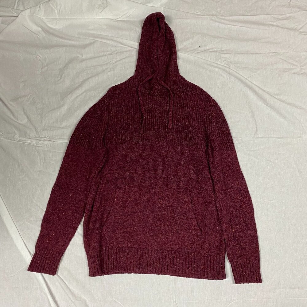 Monochromatic Hooded Sweater - American Eagle